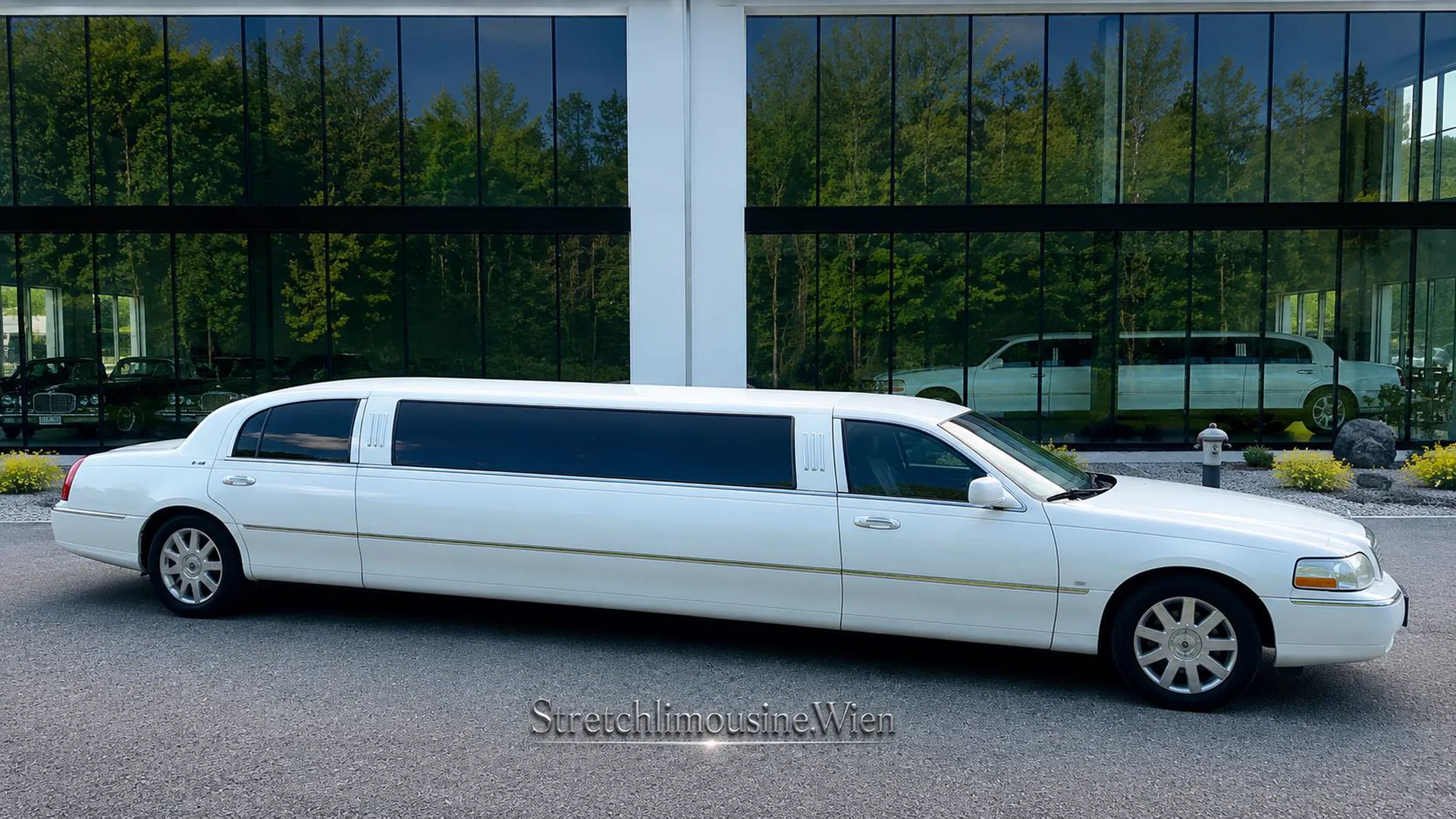 White Majesty Stretchlimousine